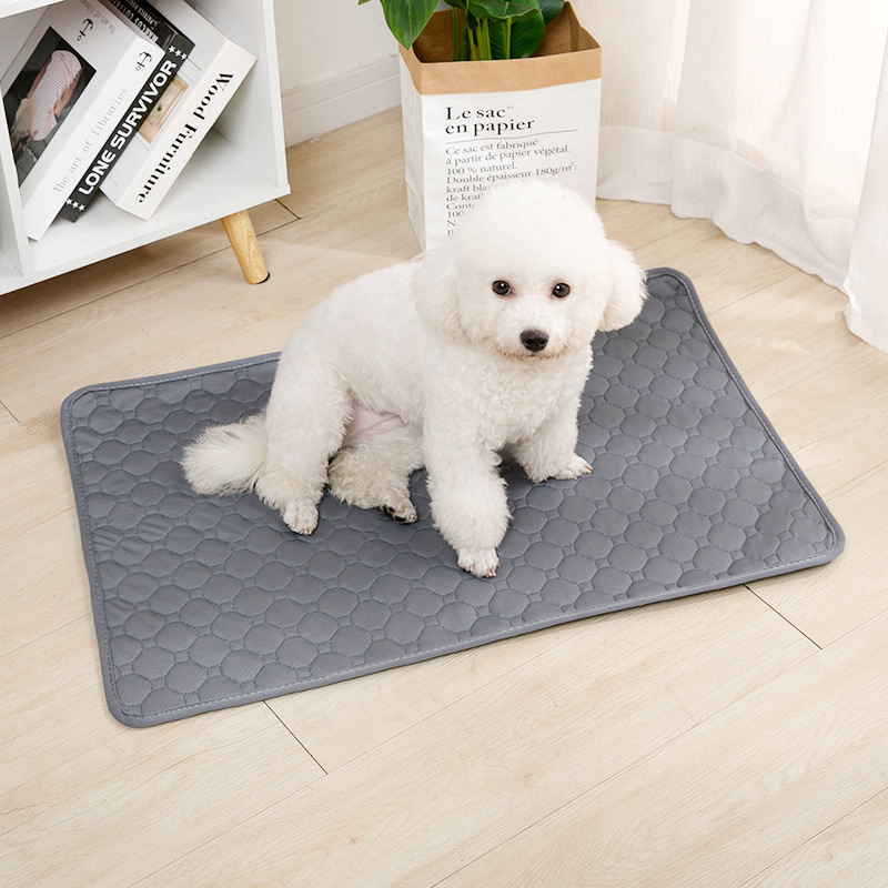 Wiederverwendbare Hunde-Pipiun – Carriage Bed Bewertung und Preis
