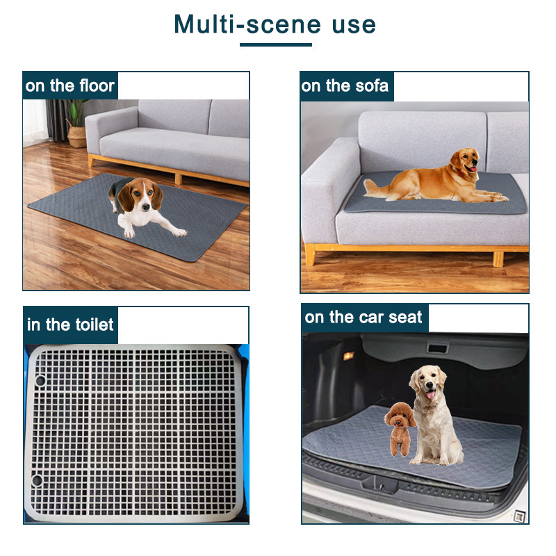 Wiederverwendbare Hunde-Pipiun – Carriage Bed Bewertung und Preis