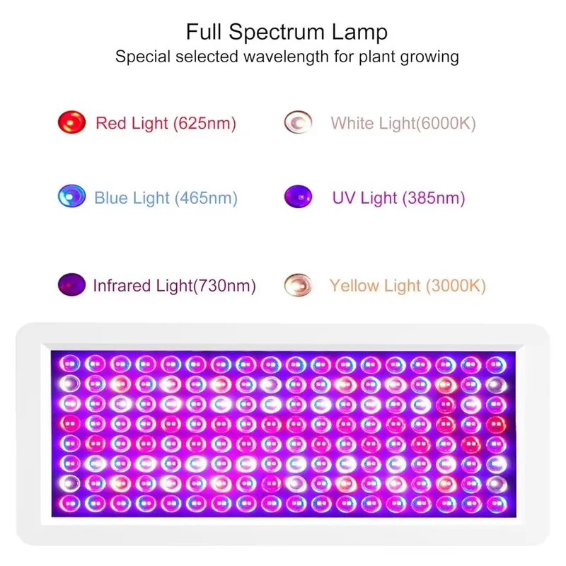 Neueste UV-Lichtbox 2026 für d – Resin Printer Bewertung und Preis